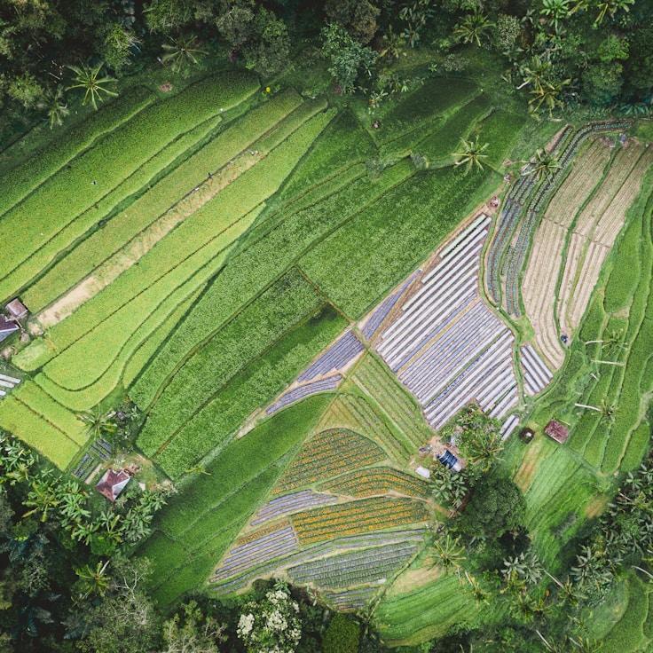 Family terraces and cafés for calm evenings in Rome